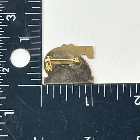 San Diego Zoo 70th Anniversary Tiger Enamel Pin Gold Tone Blue Number 70 Badge - Picture 2 of 2